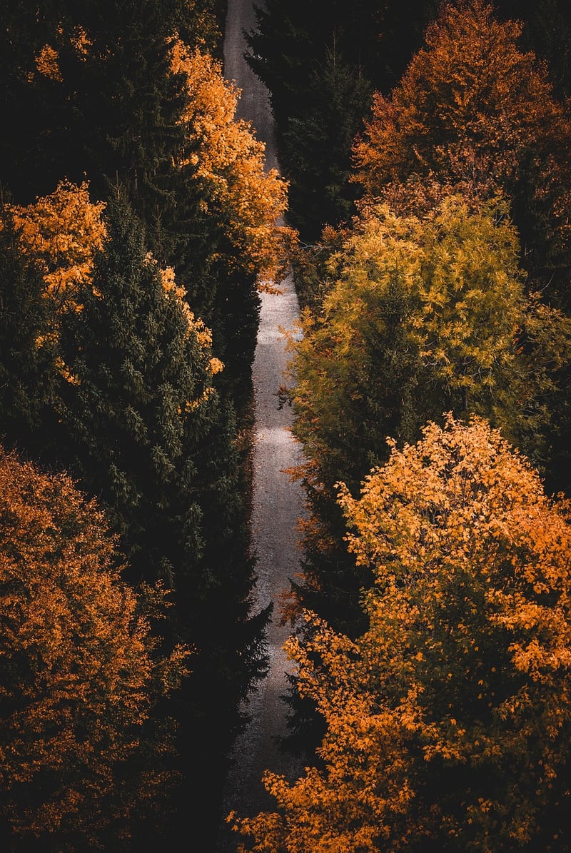 Hiking Essentials